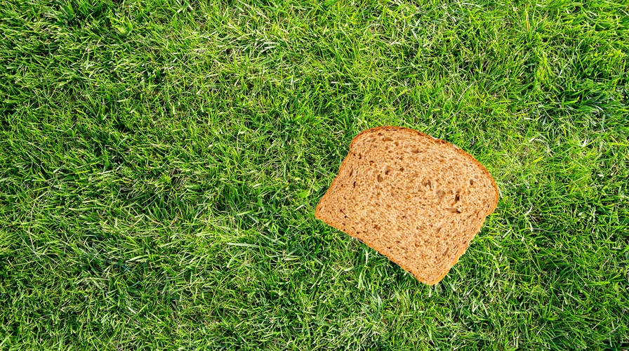 Popular trend of photographing stapled bread gains buzz in UK