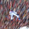 Jan Hoerl of Austria soars through the air during the trial round of the second stage of the 68th four hills ski jumping tournament in Garmisch-Partenkirchen, Germany, Jan. 1, 2020. 
