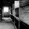 A December 2019 view inside a prisoner barracks in the former Nazi death camp of Auschwitz Birkenau or Auschwitz II in Oswiecim, Poland. 