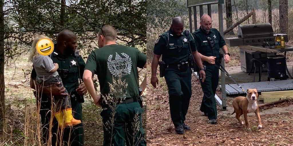 Family dog protects boy, 3, lost in Florida woods until police arrived