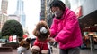 Dog tests 'weak positive' for coronavirus in Hong Kong, first possible infection in pet