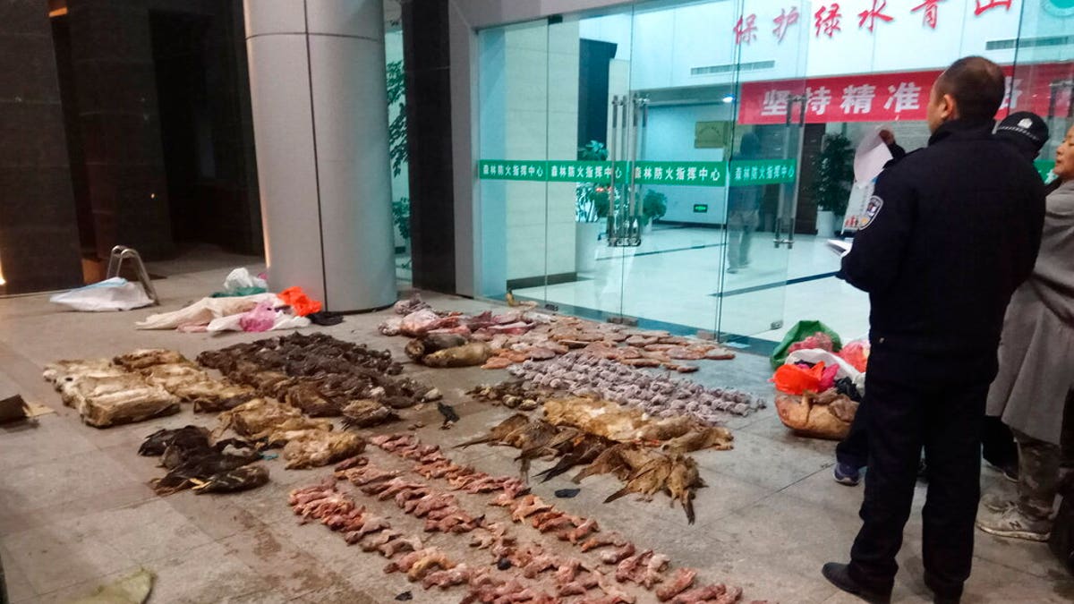 FILE: Police look at items seized from store suspected of trafficking wildlife in Guangde city in central China's Anhui Province. 