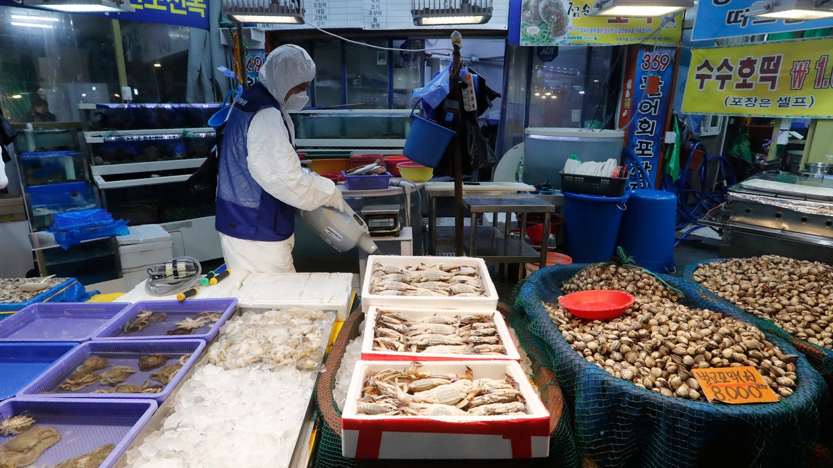 A worker wearing protective gears sprays disinfectant as a precaution against the coronavirus at a market in Seoul, South Korea, Monday, Feb. 24, 2020.? (AP Photo/Ahn Young-joon)