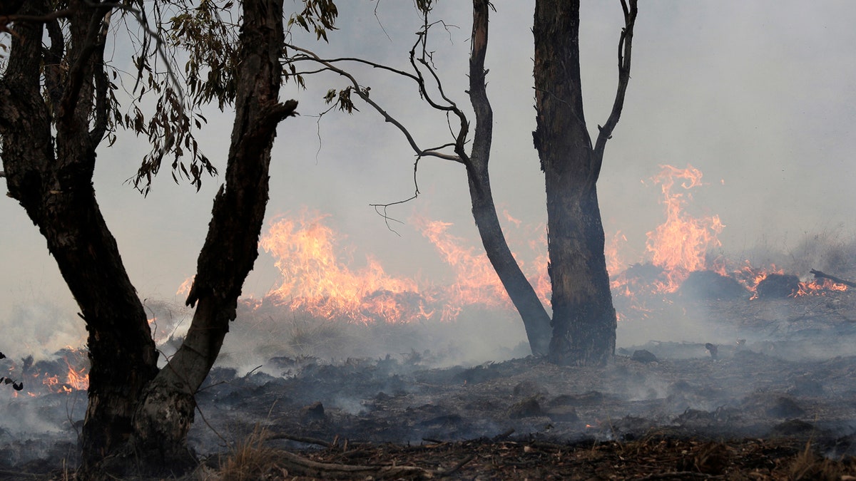 A spot fire burns near Bredbo, south of the Australian capital, Canberra, Sunday, Feb. 2, 2020.