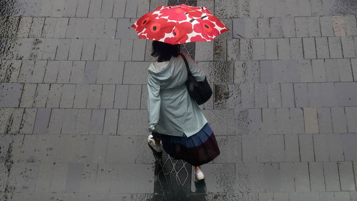 A woman shelters under an umbrella as rain falls in Sydney, Friday, Feb. 7, 2020, while the Bureau of Meteorology issued severe weather warning along the New South Wales state coast.