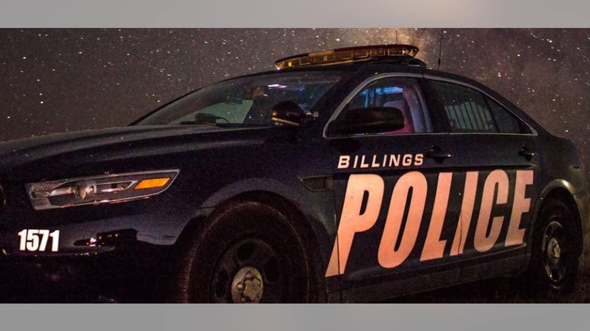 Multiple teenagers were arrested after allegedly hitting an officer with their car.