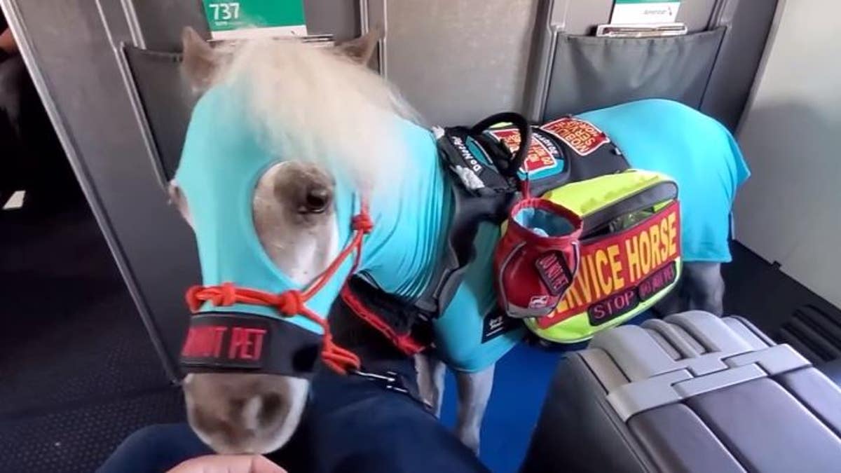 A Michigan woman is sharing the positive “tail” of her recent American Airlines flights with a miniature service horse.