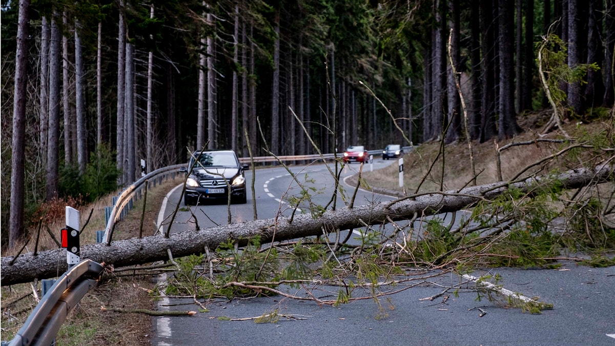 A tree blocks a road in the Taunus region in a strong storm near Frankfurt, Germany, Sunday, Feb. 9, 2020.