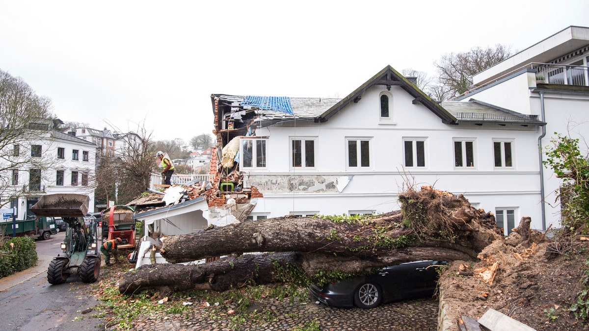 A tree lies on a car in Hamburg, Germany, Monday, Feb. 10, 2020.