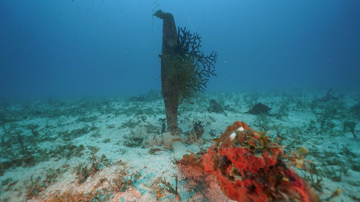 A coral-covered propeller of a U.S. SBD-5 Dauntless dive bomber from Operation Hailstone stands above the sand in Truk Lagoon