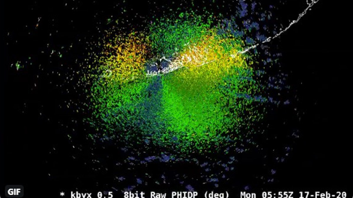 The massive bird migration was picked up by a National Weather Service radar.