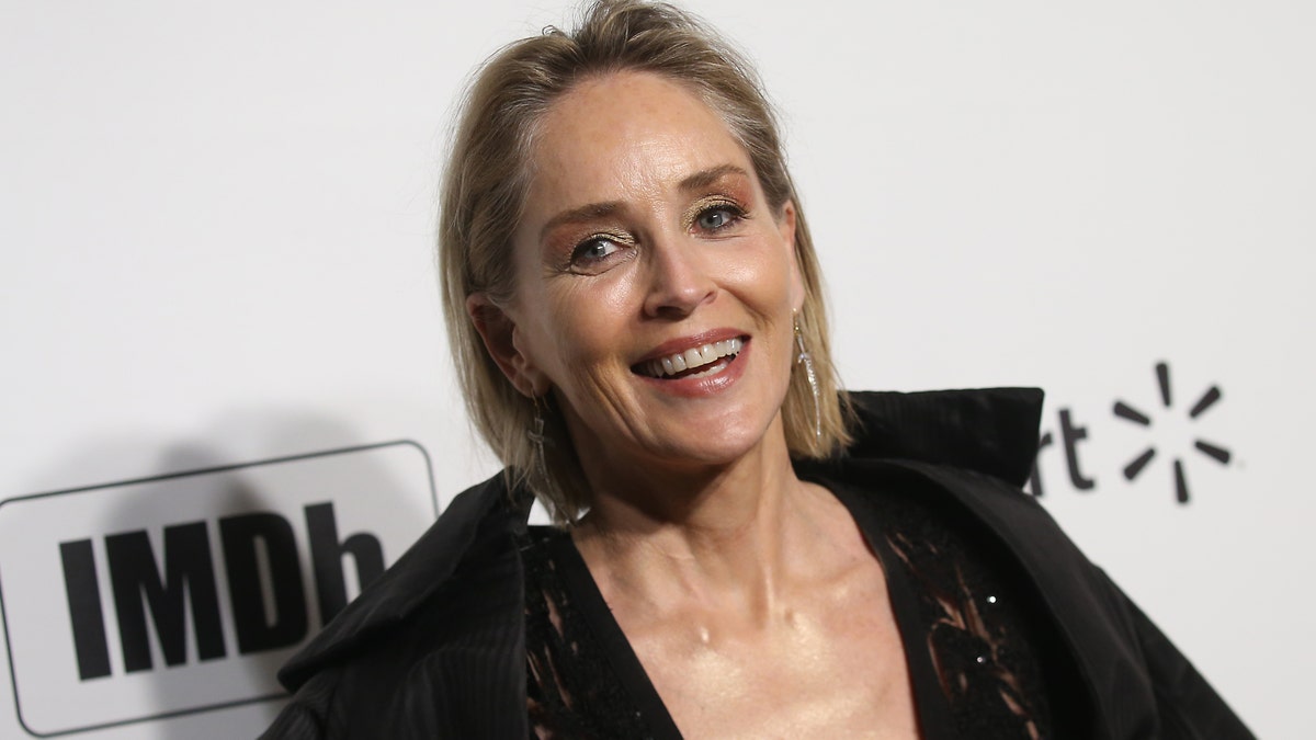 Dele Centralisere chokerende Sharon Stone's 8 biggest roles: 'Basic Instinct' and beyond | Fox News