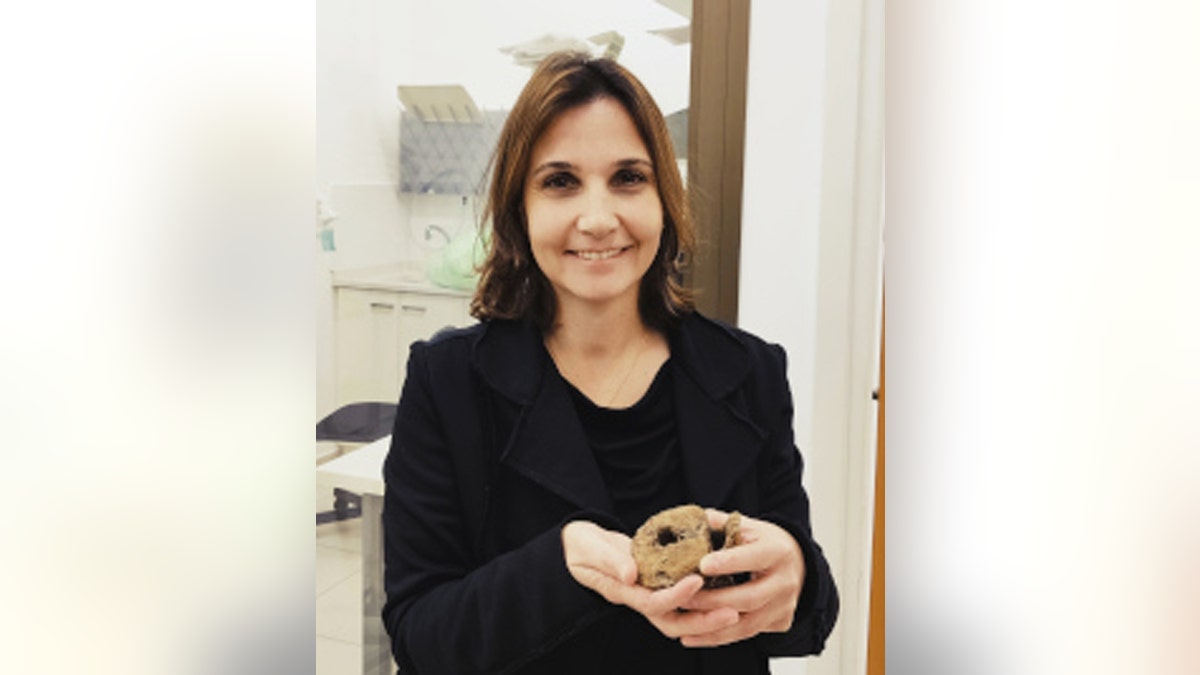 Dr. Hila May holds a hadrosaur vertebra. (Credit: Tel Aviv University)