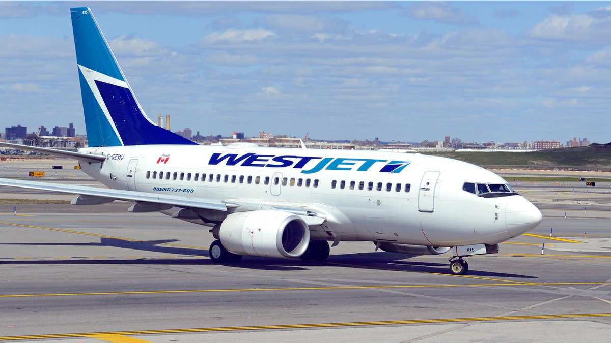 The flight was only an hour away from landing in Jamaica when it was forced to divert back to Canada, according to Potok's own estimation.