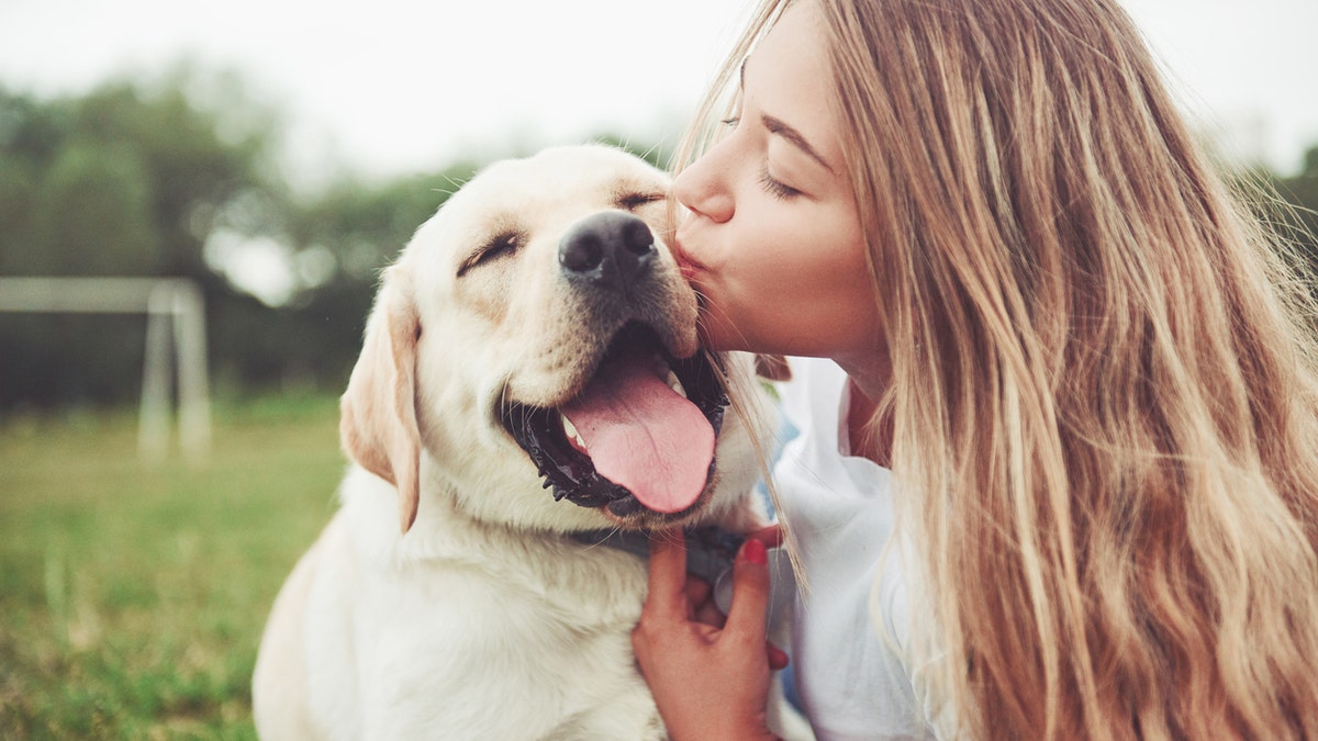 According to the Pet Census, 72% of dog owners said they have canceled plans to spend more time with their pets. (iStock)