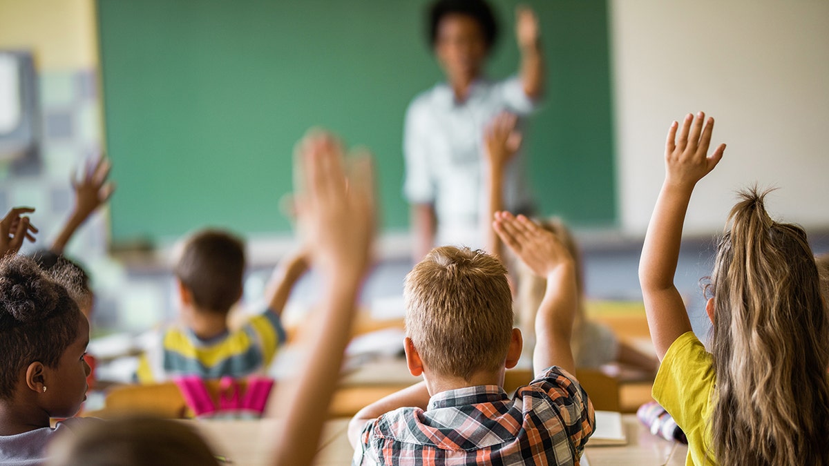 Back view of elementary students raising their hands on a class.