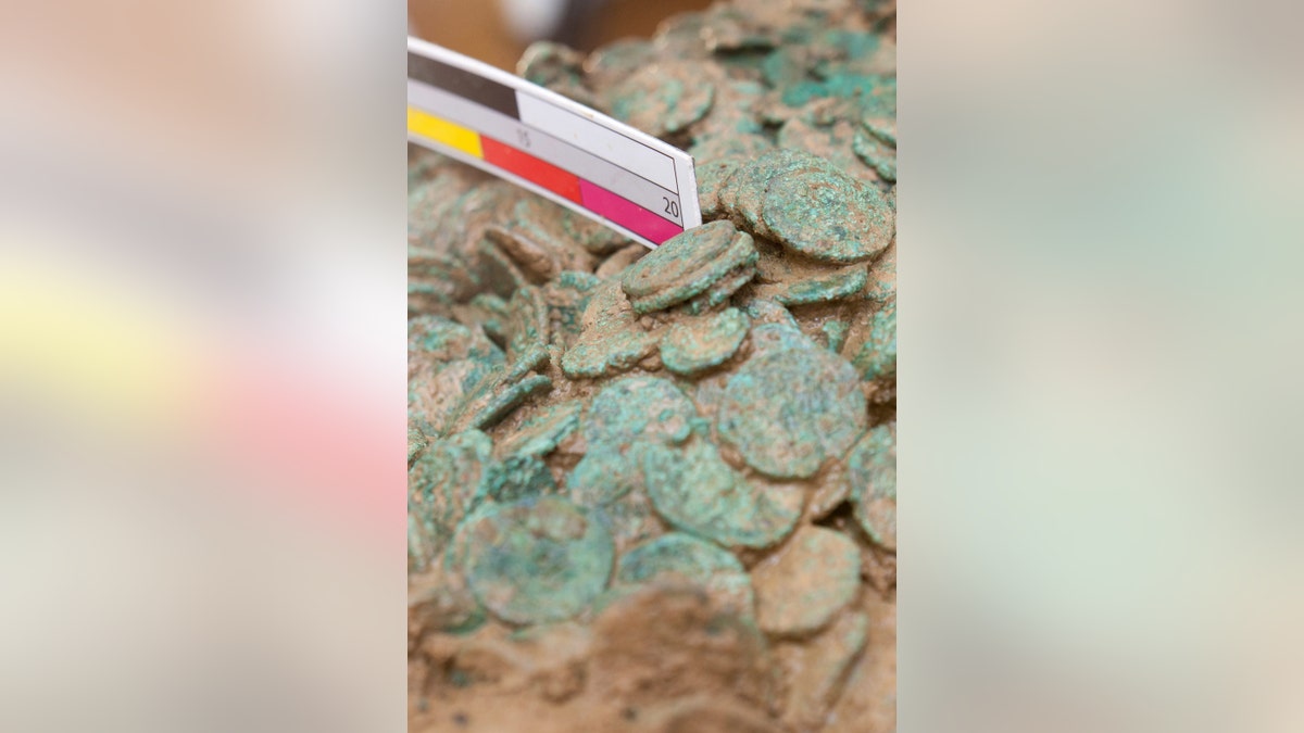 Neil Mahrer, Conservator for the Jersey Heritage Museum inspects some of the coins uncovered in Europe's largest hoard of Iron Age coins worth up to GBP10 million. (Credit: SWNS)