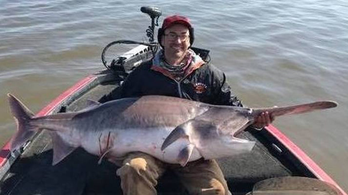 Justin Hamlin of Kerryville, Okla., caught a whopping 157-lb. paddlefish on Valentine's Day while fishing at Keystone Lake. State law forced him to return the fish to the water because Mondays and Fridays are catch-and-release days. (Oklahoma Department of Wildlife)