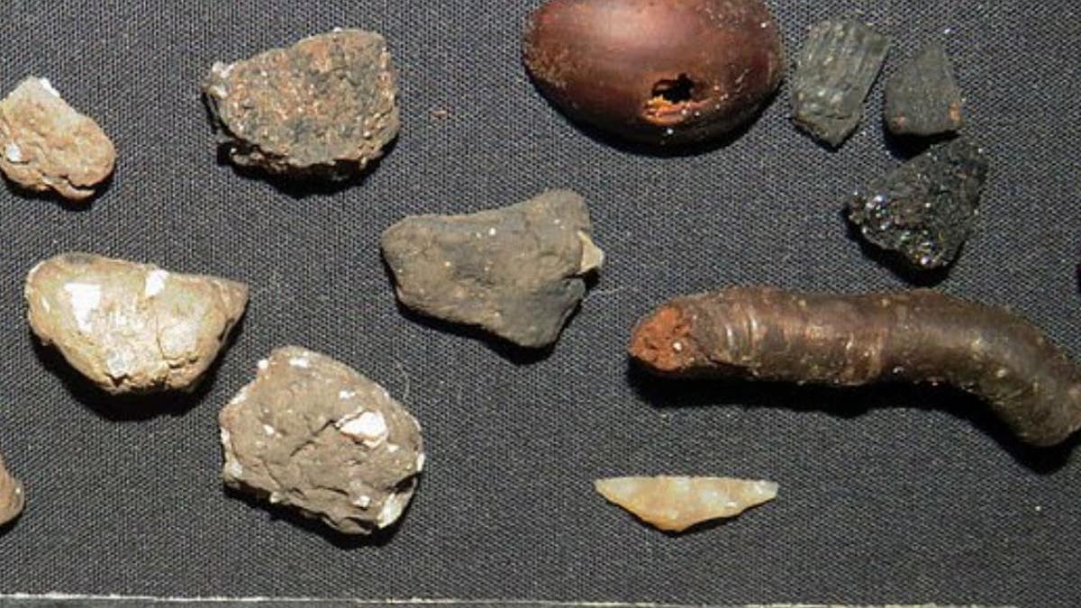 Rare pottery and tool fragments found at the site include (on the left) parts of a Carinated Bowl. On the right, from the same site, are some ancient twigs and hazelnuts.