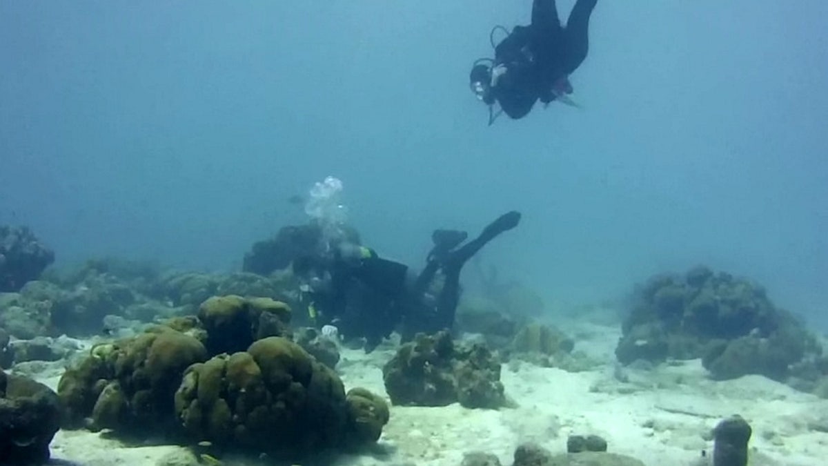 “I decided to propose on the first reef we dove together," the soon-to-be groom said.