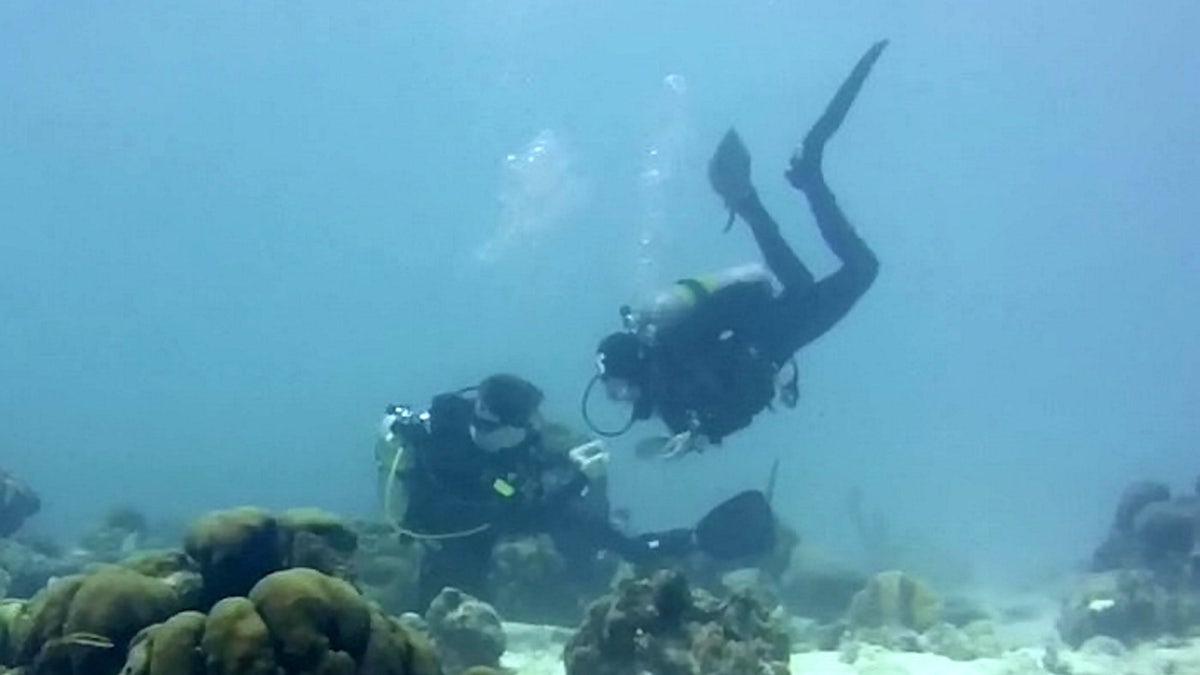 Man shocks girlfriend with underwater proposal in Caribbean Sea | Fox News
