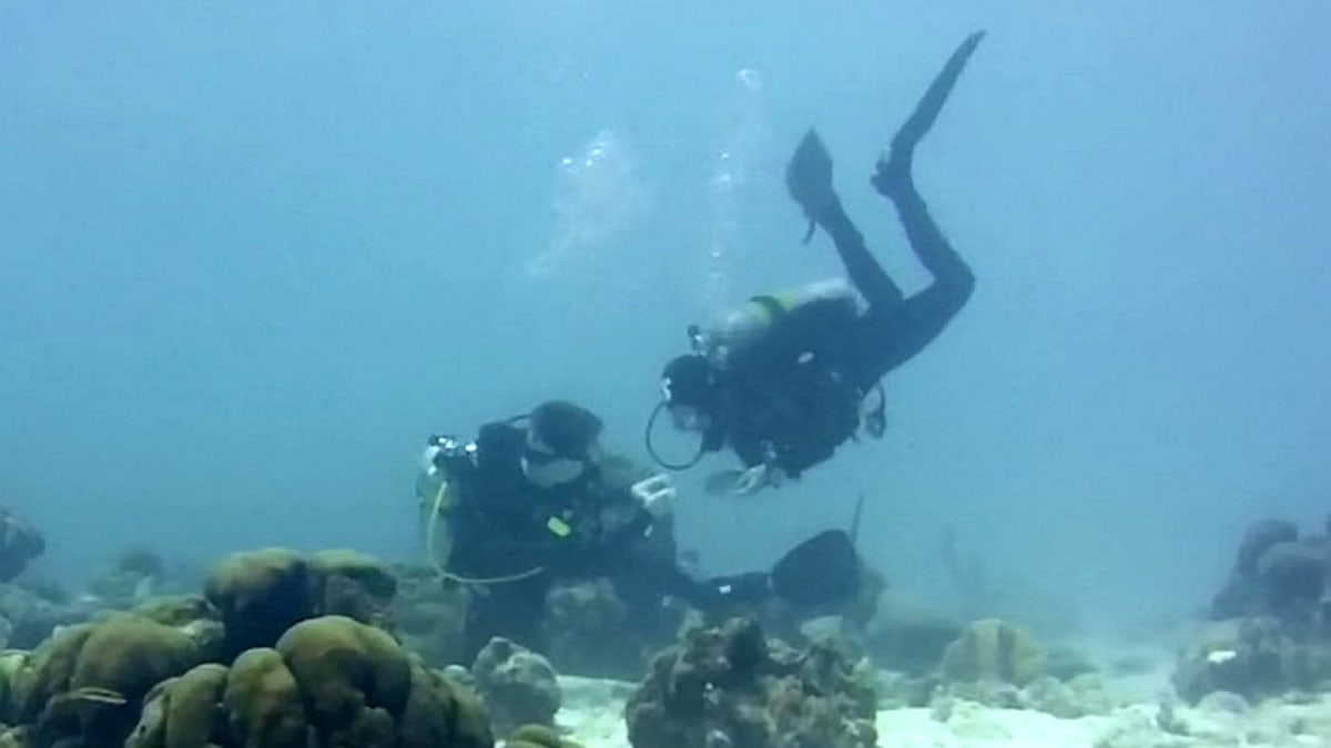 “We swam for a bit and I tried to look for a good spot,” Studenic recalled. “Then I went down and when I was sitting on the sand, I pretended to find a shell.”