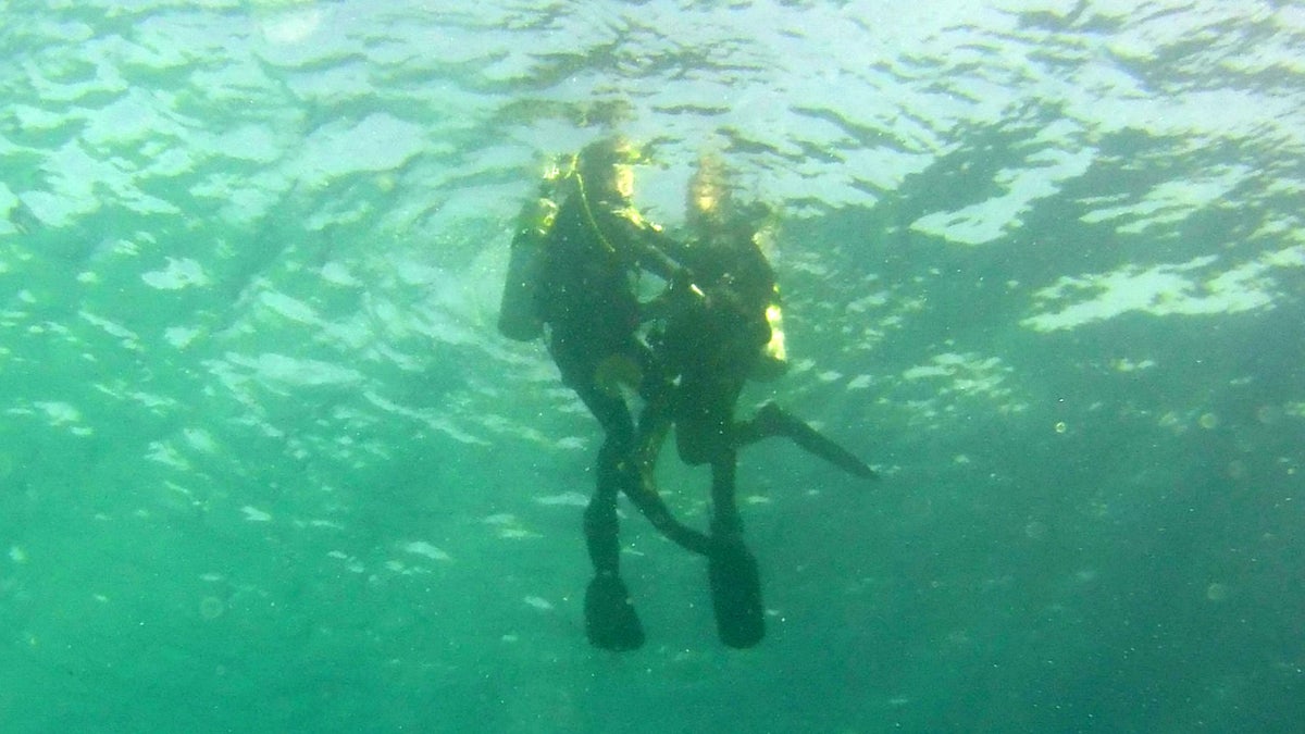 Happily, she said yes and the two embraced, before swimming up to the surface together.
