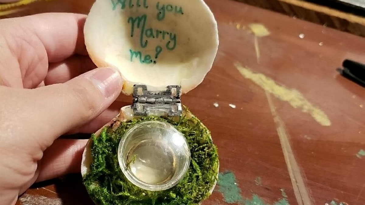 “Five years ago, I had the idea of an underwater proposal. I thought it would be cool, really unique and interesting,” Studenic said.