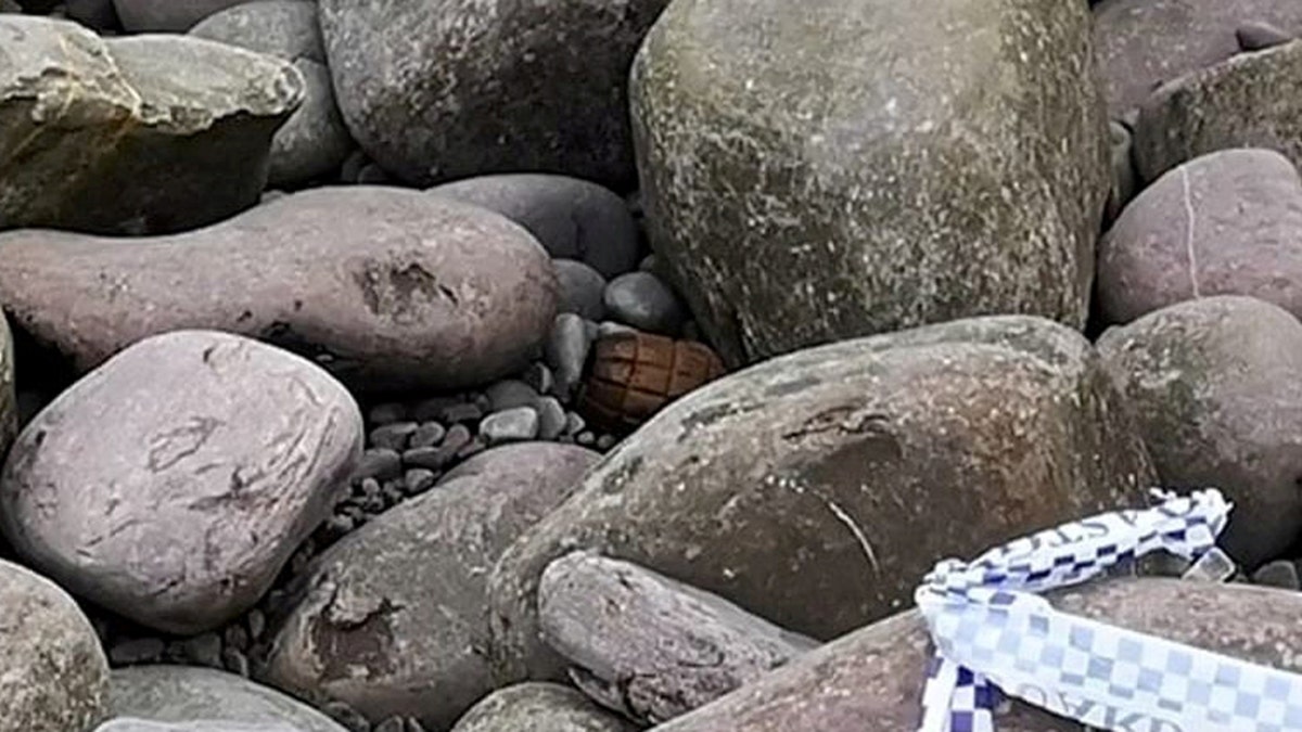 A WWI hand grenade discovered among rocks on a beach at Culver Cliff, Minehead, north Somerset, apparently uncovered by the recent storms. (Credit: SWNS)