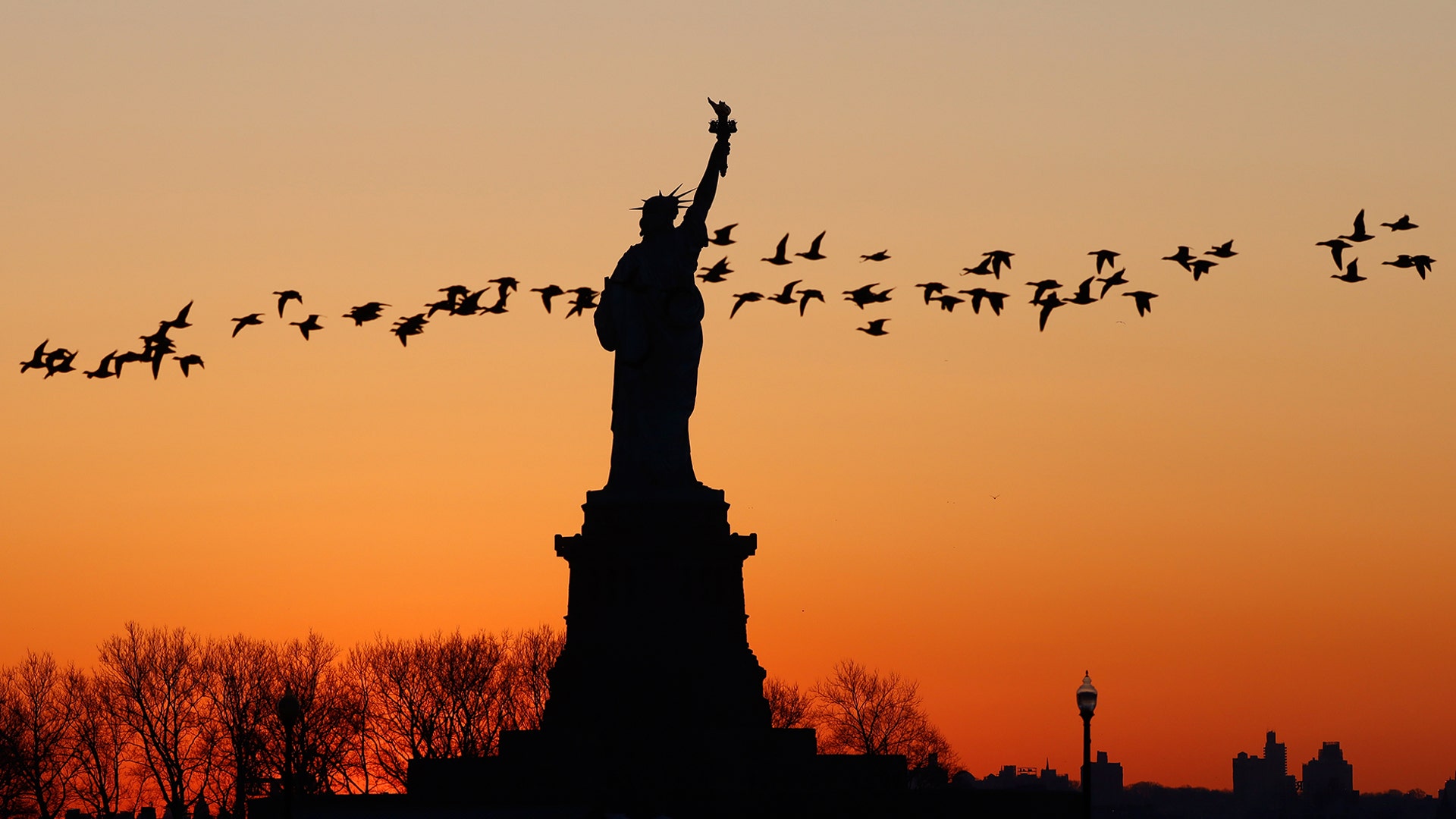 Geese fly past the Statue of Liberty as the sun rises in New York City, Feb. 23, 2020. 