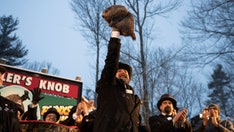 Groundhog Day: Punxsutawney Phil's predictions over the last 5 decades