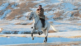 Kim Jong Un spent over $500G on Russian horses over past decade, data show