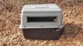 Dead dog abandoned in New Jersey woods inside crate prompts police search for owner
