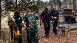 Family dog protects boy, 3, lost in Florida woods until police arrived