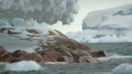 Hidden island uncovered in Antarctica after melting glaciers reveal its shore