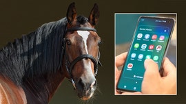 Australian man guilty of using cellphone while riding horse because he didn't have a hands-free device