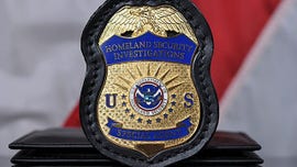 ICE agent shoots man in face in New York; victim in serious condition: reports