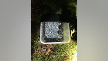 Oregon man sentenced to jail for tossing nails on city streets