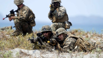 Army veteran's bone 'paint' would help treat combat wounds, promote regrowth