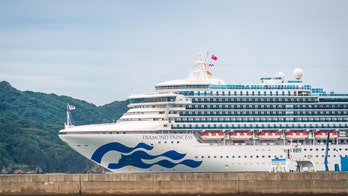 How cruise ships are cleaned, according to CEO of company that sterilized Diamond Princess after outbreak