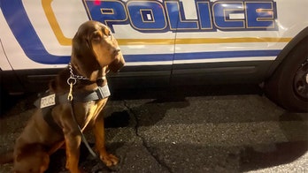 NJ police K9 finds child missing for several hours