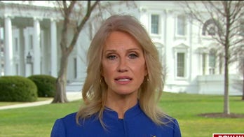 Kellyanne Conway: Dems' claims of electability no match for 'electricity' fueling Trump campaign