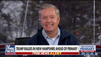 Lindsey Graham on New Hampshire primary: 'You’re seeing the demise of the Democratic Party'