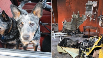 New Mexico house fire sparked by 'curious pup,' video shows