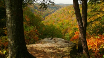 Pennsylvania college student survives 80-foot fall during hike at state park
