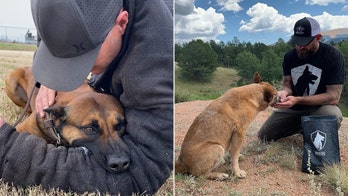 Meet the former Navy SEAL who trains dogs for the military and police