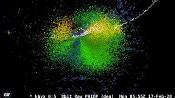 Huge bird migration spotted on weather radar