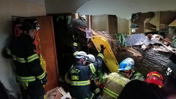 High winds in Pacific Northwest shut interstate in Oregon, tree crushes man on couch in Washington