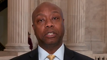 Tim Scott: Dems' South Carolina debate turned into a 'hot mess,' was another win for Trump