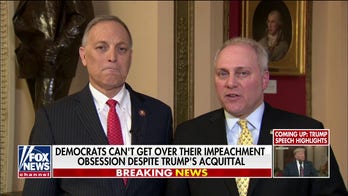 Steve Scalise: 'People ought to go to jail' over origins of Russia probe after failed impeachment